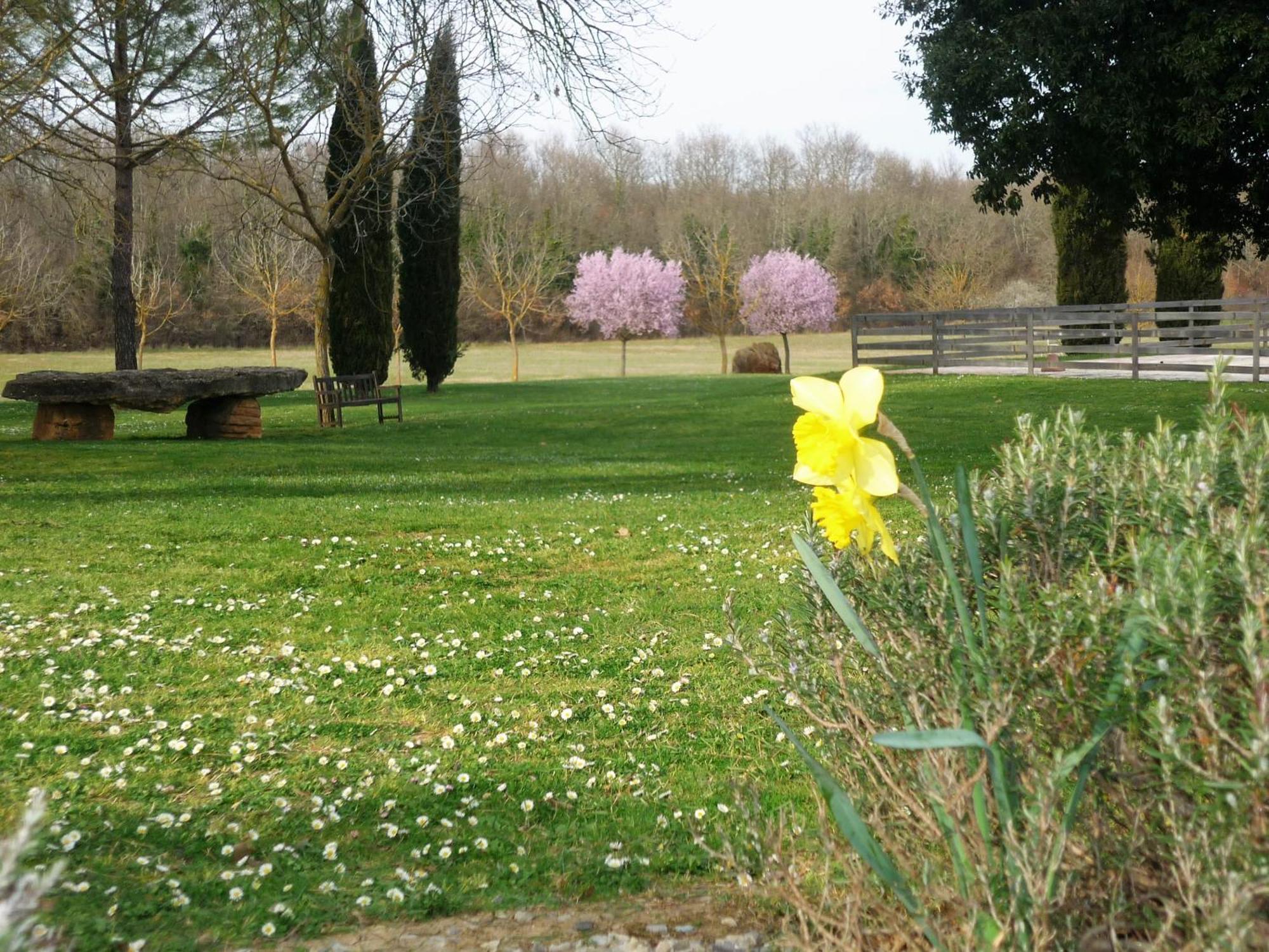 הוילה Casole dʼElsa Fattoria Agriturismo Nerbona מראה חיצוני תמונה