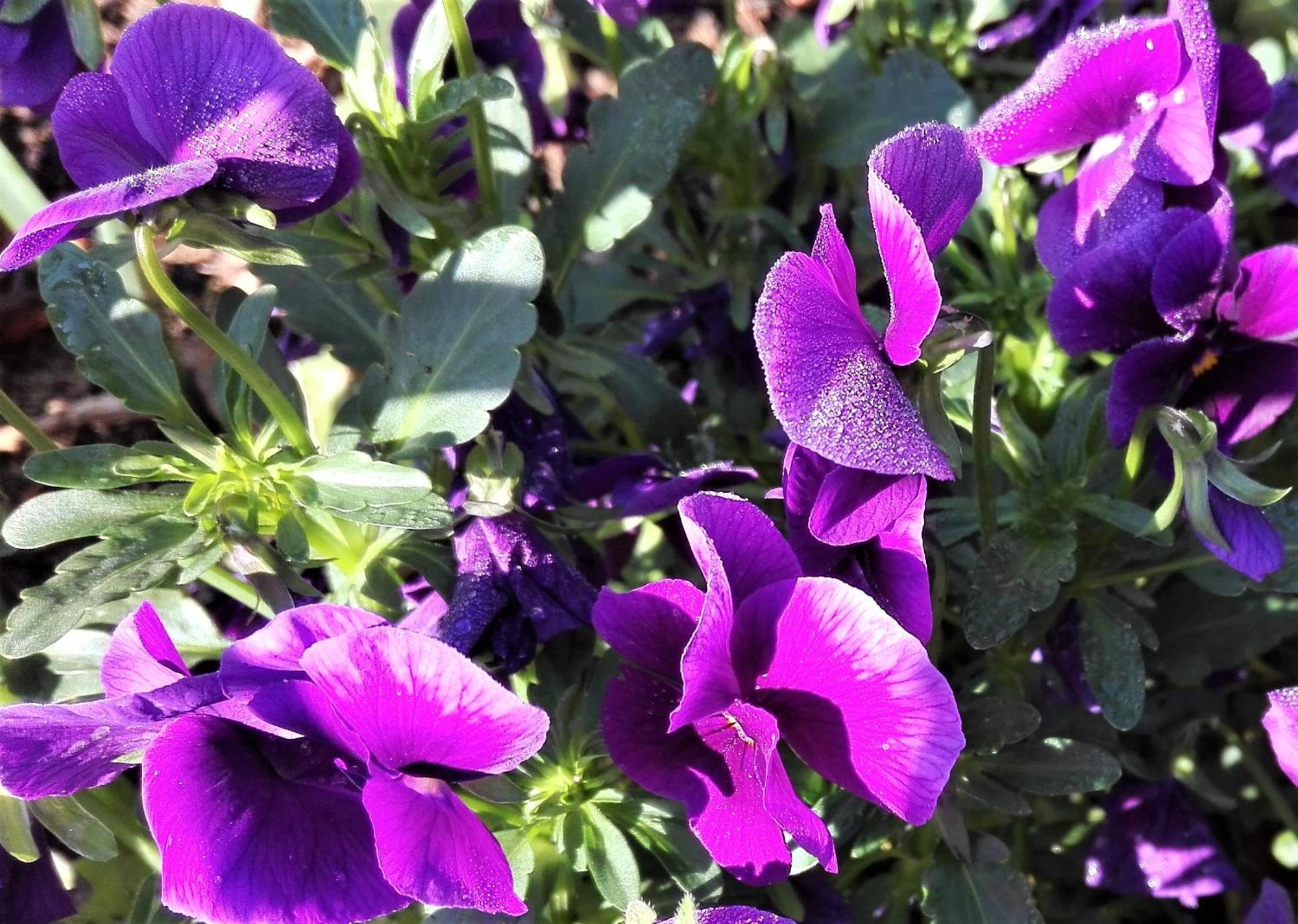 Casole dʼElsa Fattoria Agriturismo Nerbona מראה חיצוני תמונה