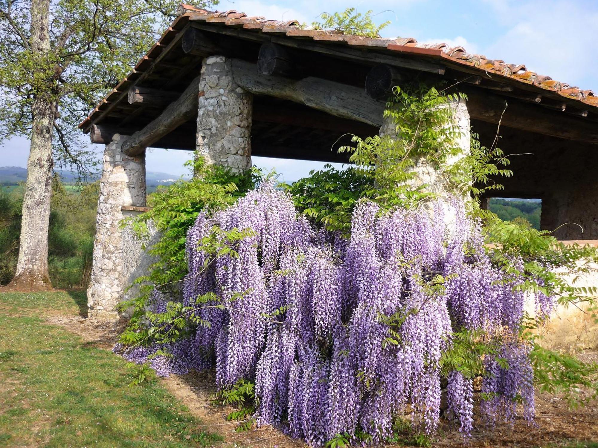 הוילה Casole dʼElsa Fattoria Agriturismo Nerbona מראה חיצוני תמונה