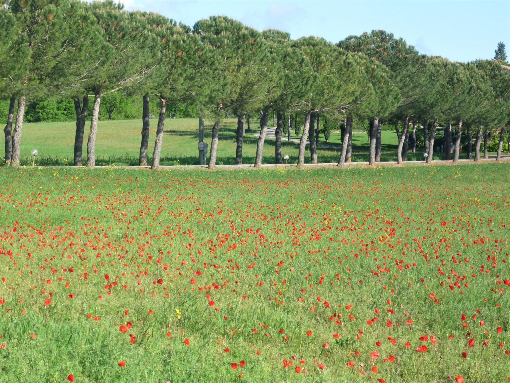 הוילה Casole dʼElsa Fattoria Agriturismo Nerbona מראה חיצוני תמונה