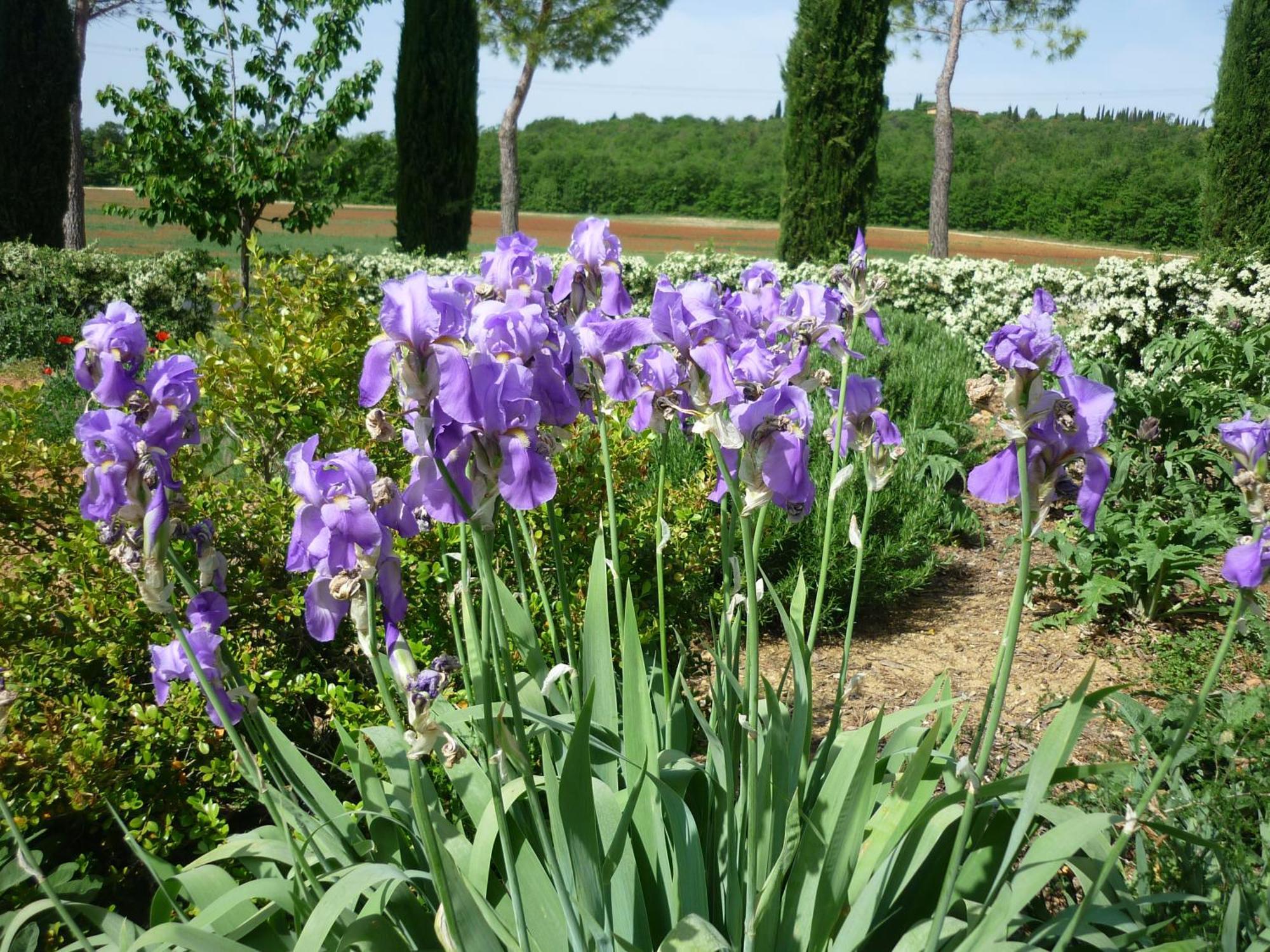 Casole dʼElsa Fattoria Agriturismo Nerbona מראה חיצוני תמונה
