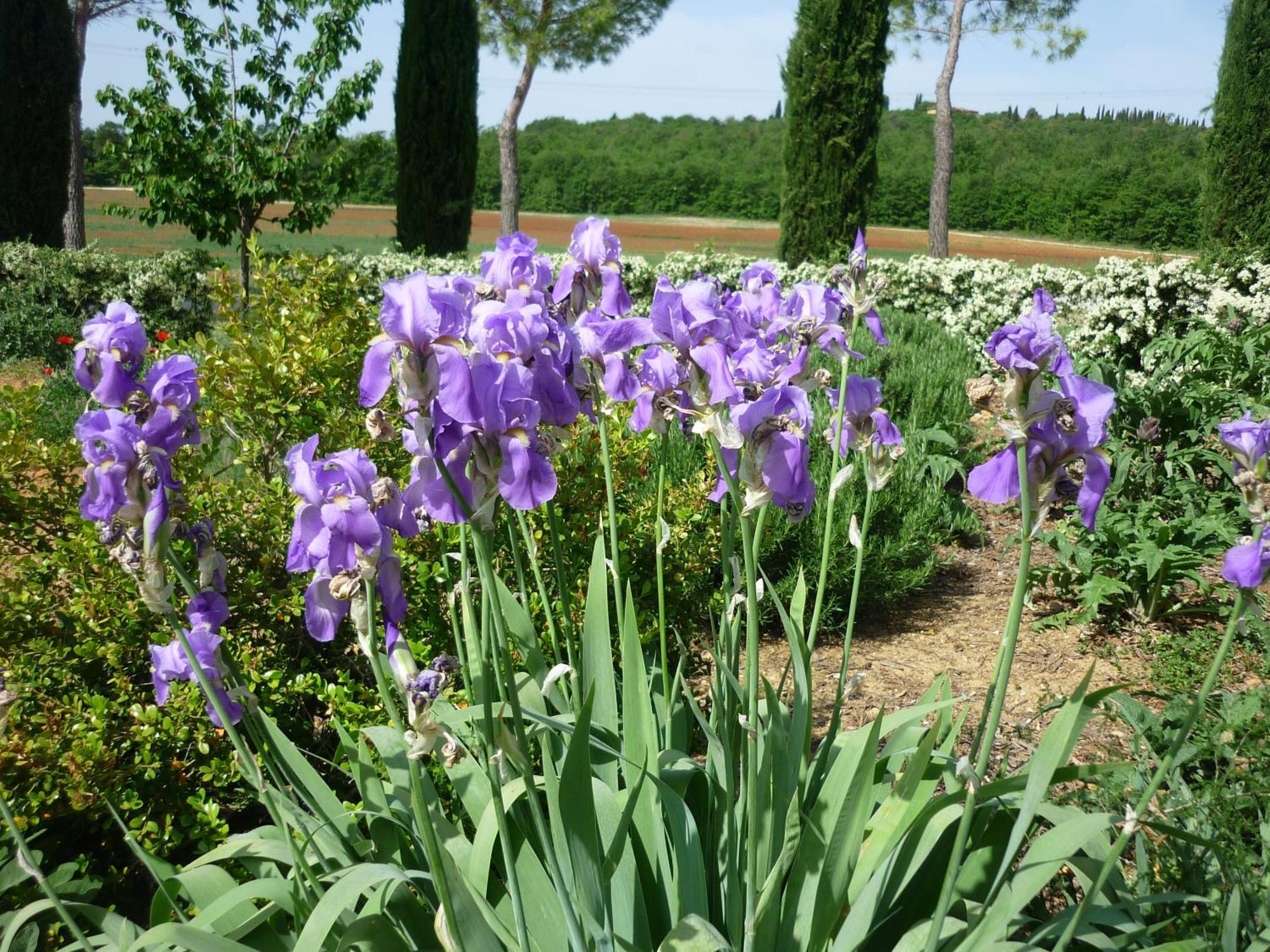 הוילה Casole dʼElsa Fattoria Agriturismo Nerbona מראה חיצוני תמונה