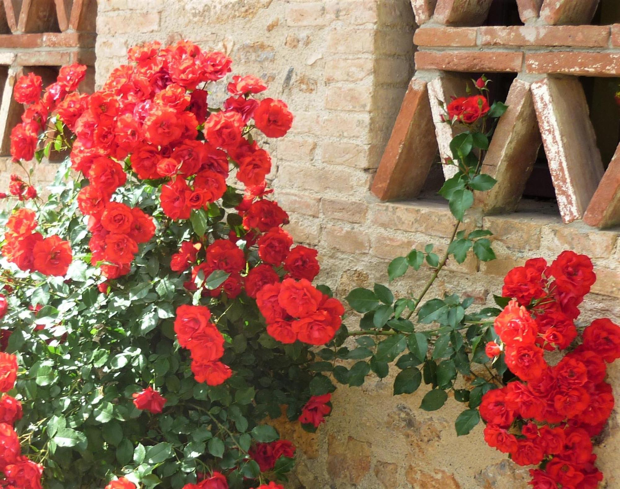 Casole dʼElsa Fattoria Agriturismo Nerbona מראה חיצוני תמונה