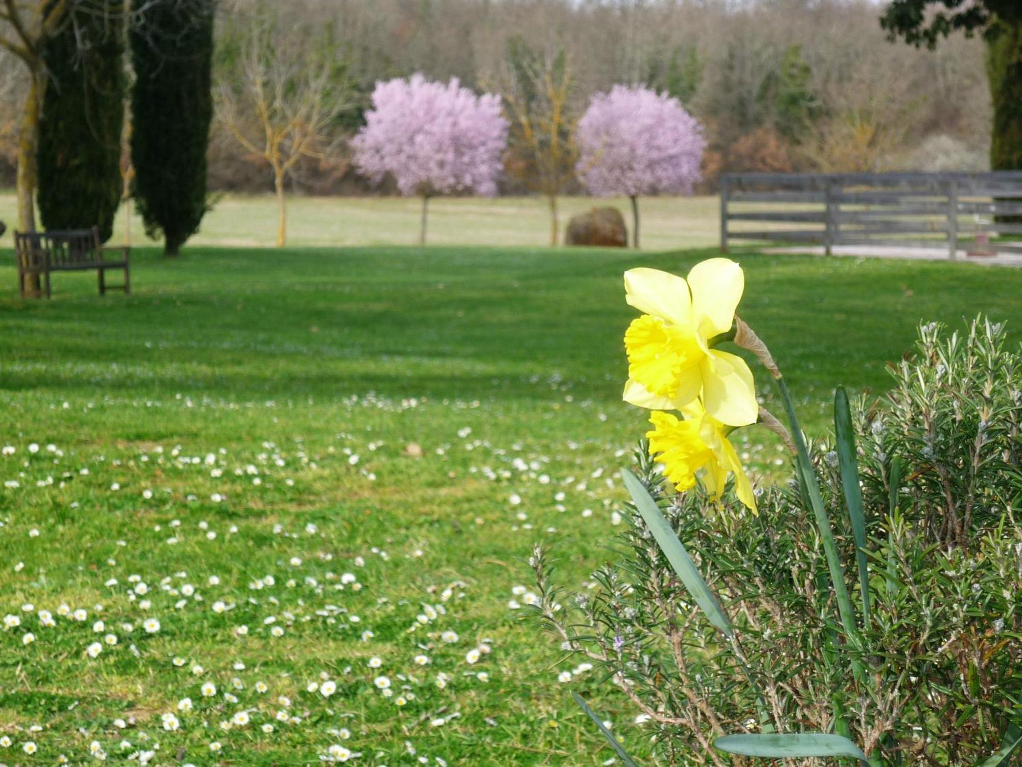 הוילה Casole dʼElsa Fattoria Agriturismo Nerbona מראה חיצוני תמונה