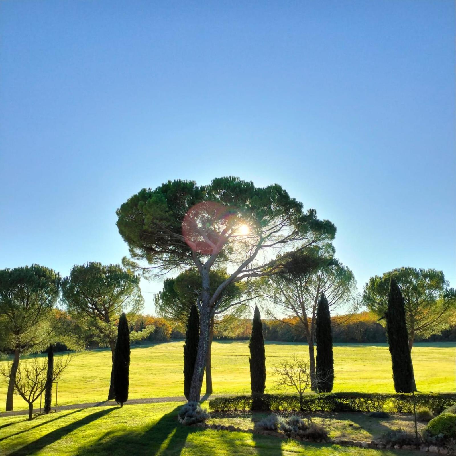 Casole dʼElsa Fattoria Agriturismo Nerbona מראה חיצוני תמונה
